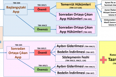 Ayıba Karşı Tekellüf